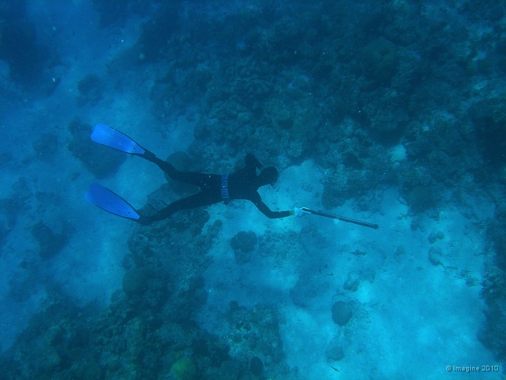 33- Romain poursuit son poisson - Passe de Kouare.JPG